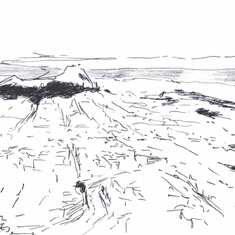 2006