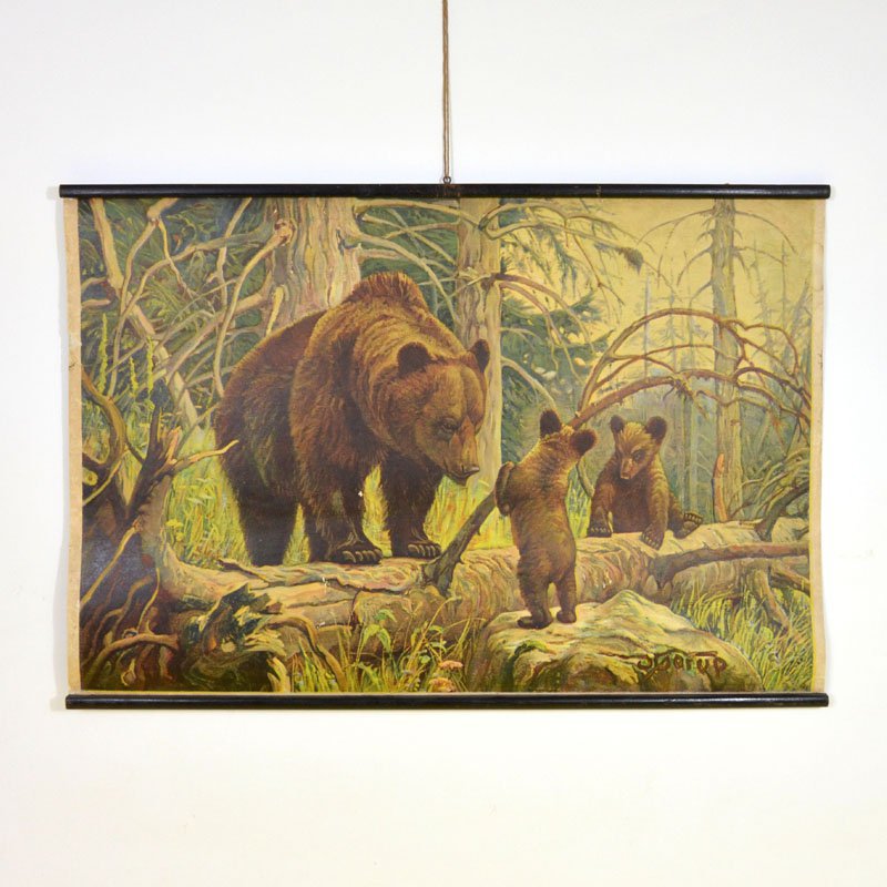 Poster of bears