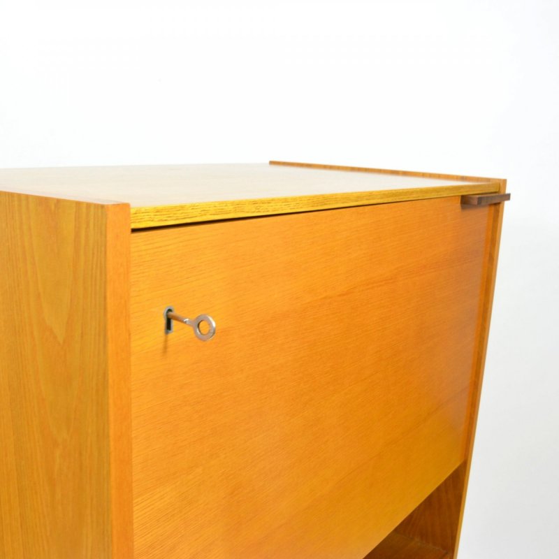 Cabinet by František Mezulánik