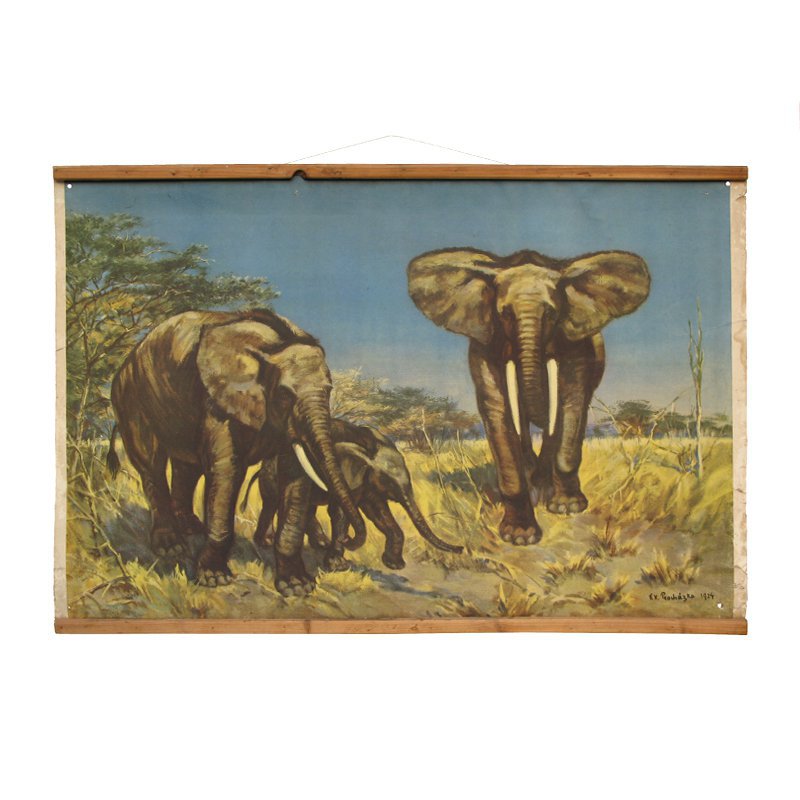 Poster of elephants